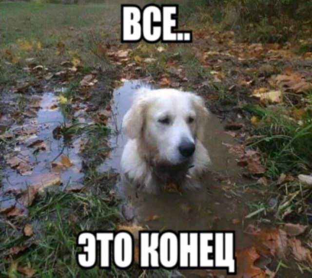 Нуштош 04.07.2025. Обитатели обители теней (s4e2)