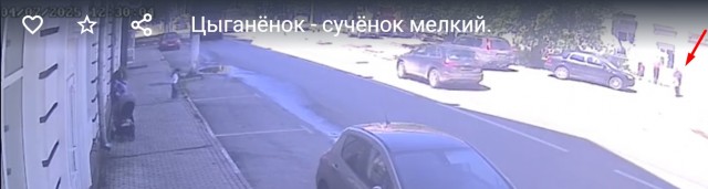 Цыганёнок