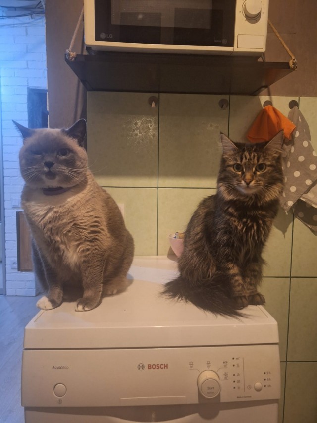 Вот такое оно - одиночество