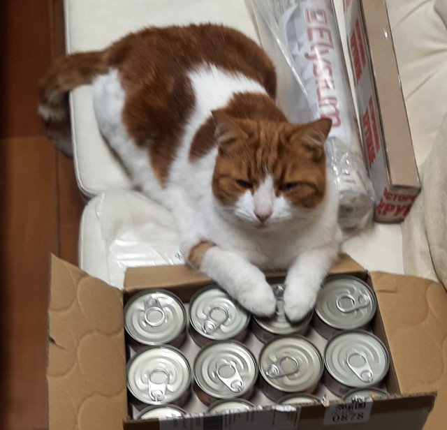 Ну и как такую ругать?