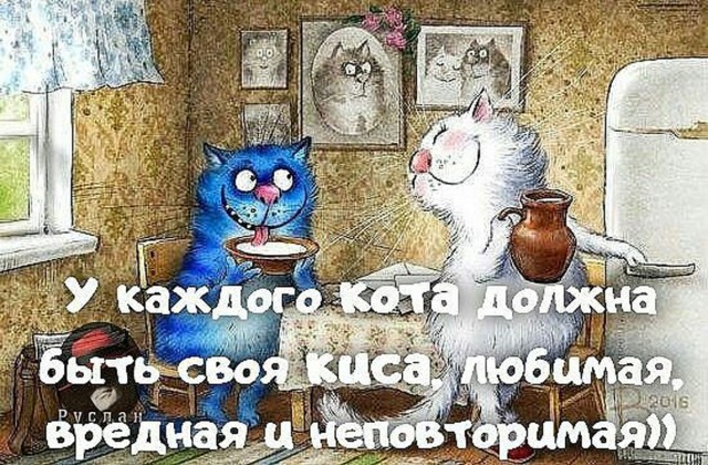 Прикольные и просто красивые картинки 12.12.2025