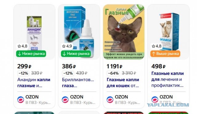 Котейка, хорошая