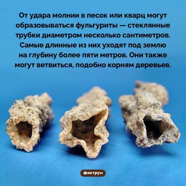 Находка на песчаной отмели