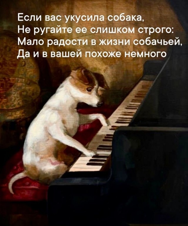 Картинки для деградации 272 (разной степени свежести)