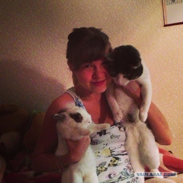 Котовторник 17.09.2013