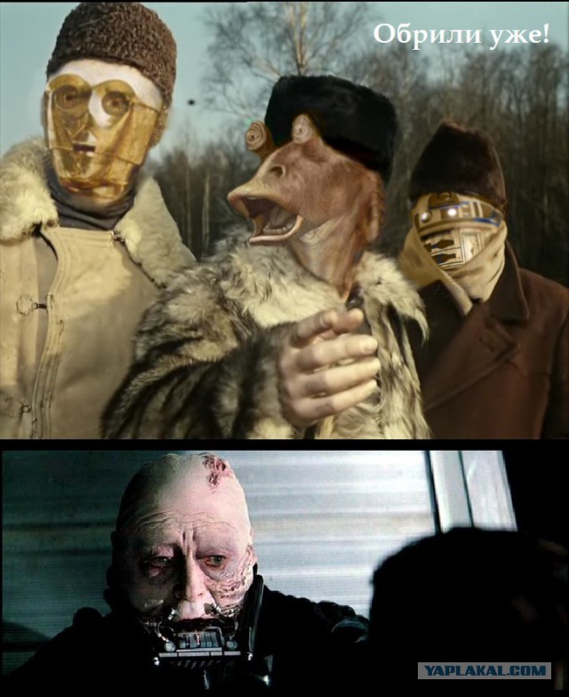 Редиска