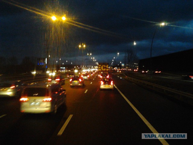 Где яблоки растут!