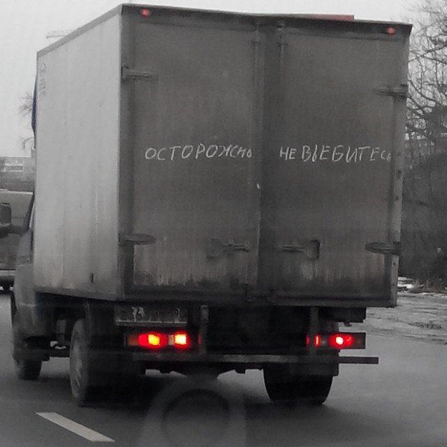 Пингвины! Они очкуют...