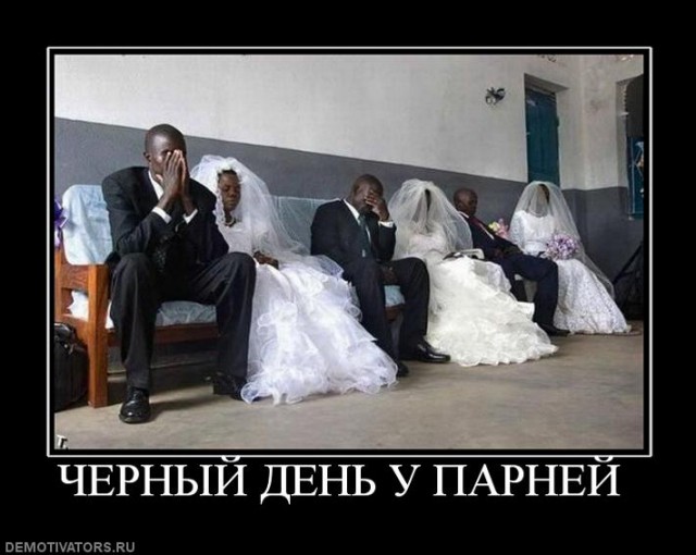 Черный волк