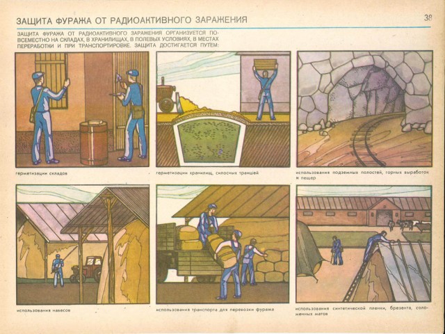 Гражданская Оборона