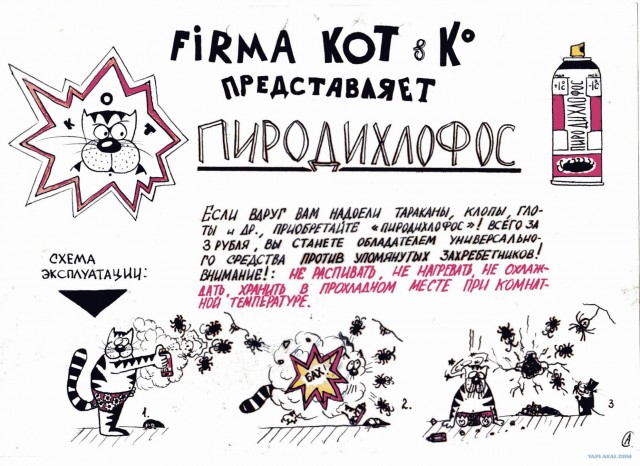 Про Кота.