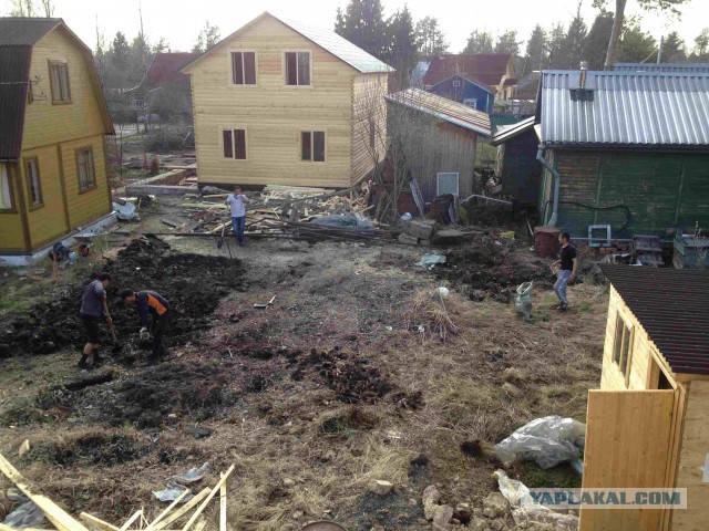 Неожиданное строительство дачи