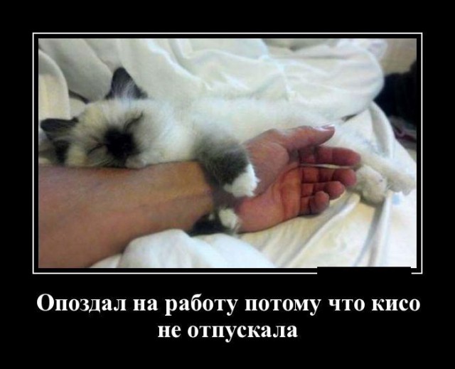 Картинки в черной рамке
