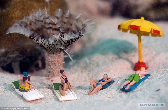 Подводные коллажи с игрушечными фигурками.
