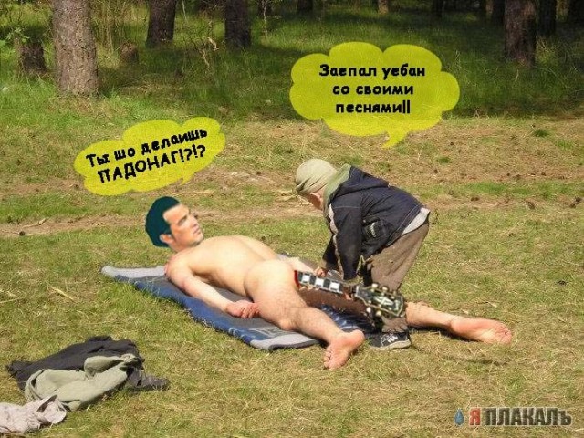 Фотожаба: Стивен Сигал
