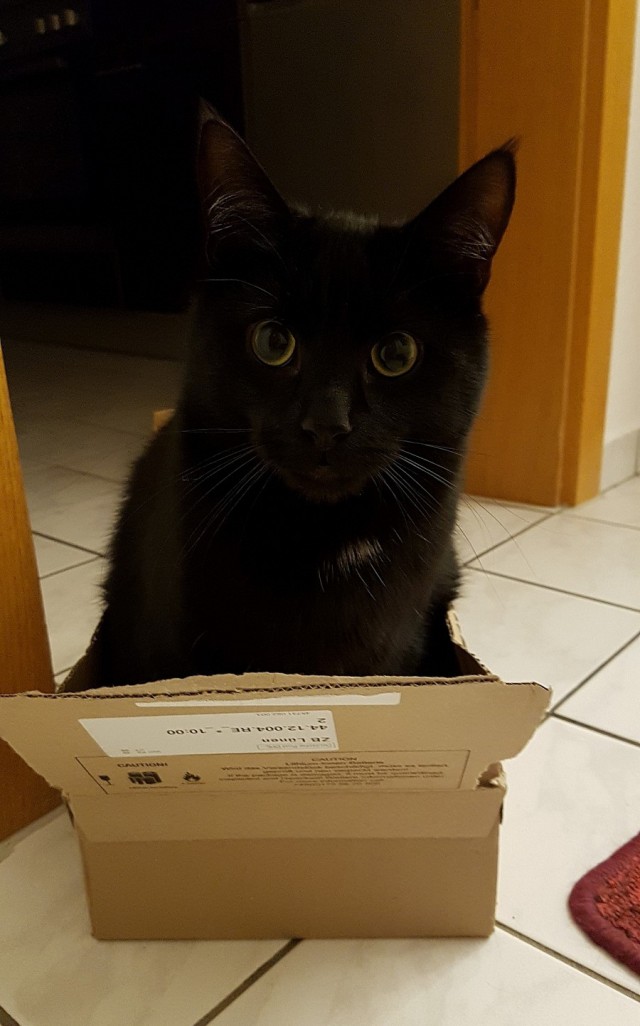 Подборка красивых картинок