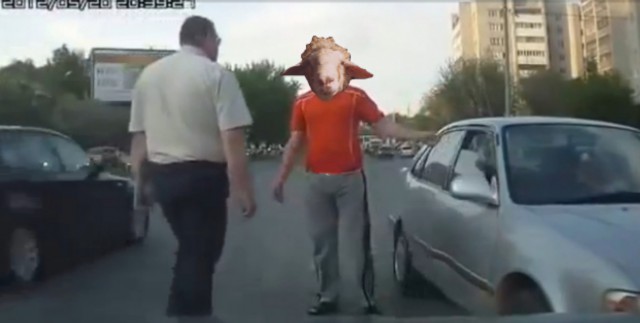 Олень за рулем