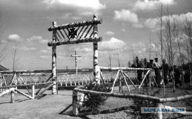 1941 год в цвете. Война