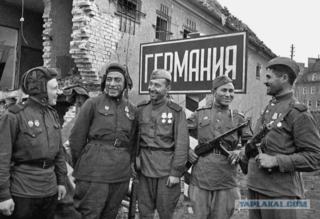 Половина россиян заявила, что нужно отменить запрет на ношение хиджабов в школах