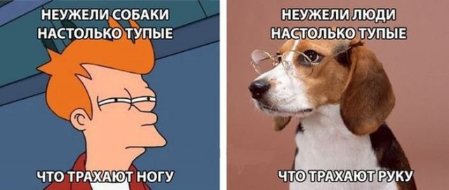 Юмор не для всех