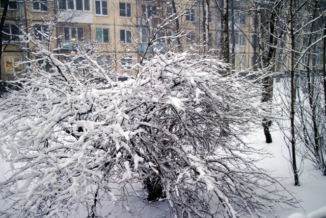 19 апреля или 78 февраля7