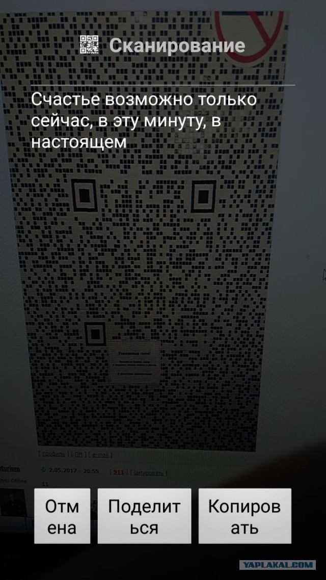 Картинки для поднятия настроения