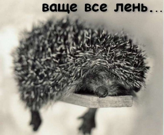 Неожиданные причины, почему быть ленивым полезно