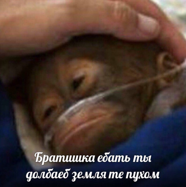 Ныряем в омут с головой!