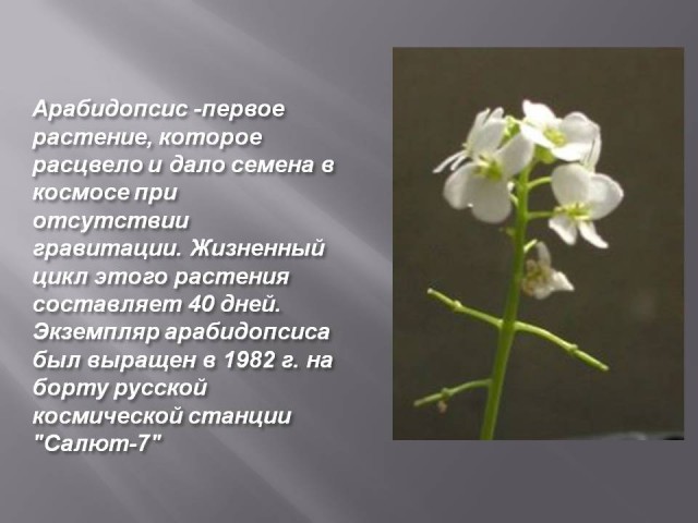 Фотографии, которые заставят удивиться