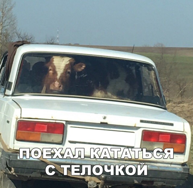 Нестандартный юмор