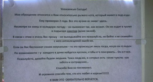 Прикольные картинки абавсём
