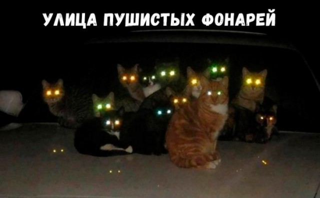 Немного картинок для настроения