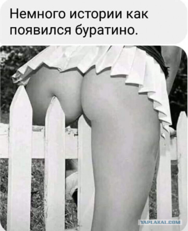 Еще одна большая подборка картинок