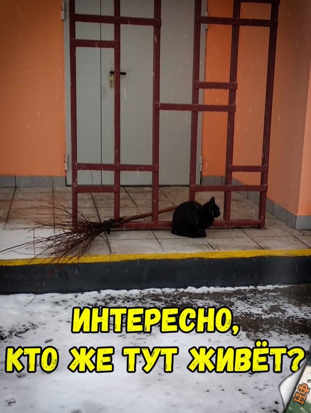 Нестандартный юмор