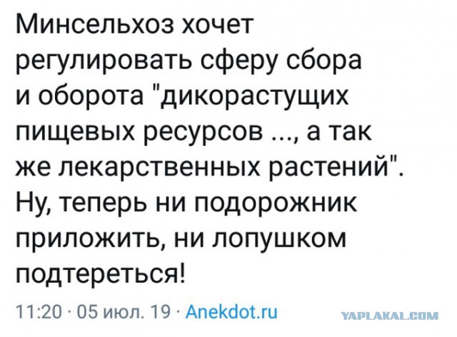 Прикольные комментарии и высказывания из Сети