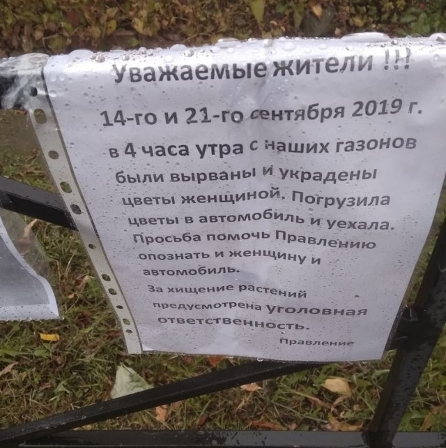 Нашли женщину,  укравшую цветы.... решается вопрос о заведении уголовного дела...