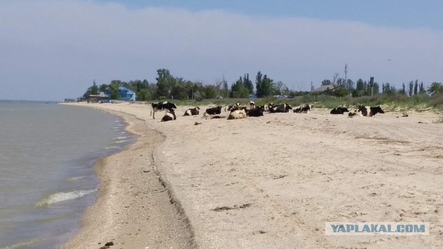 Сам себе фотограф