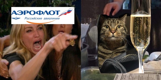 «Сегодня – кот, а завтра – каждый из нас»: реакция соцсетей на конфликт «Аэрофлота» и хозяина толстого кота