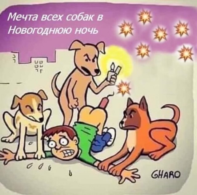 Немного картинок для настроения 25.12.19
