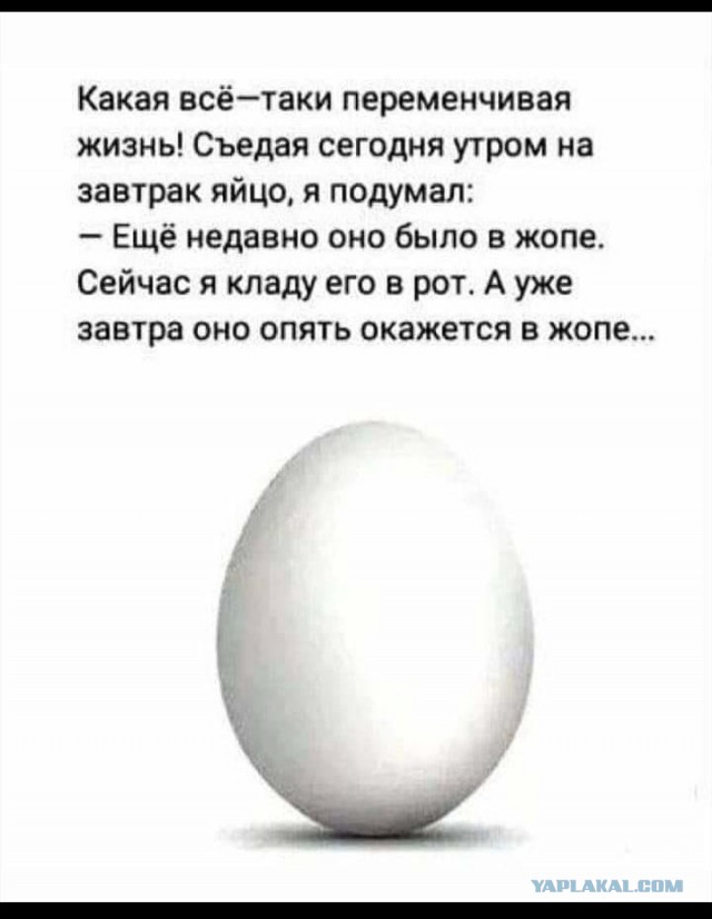 Бредзона 26.12.2019
