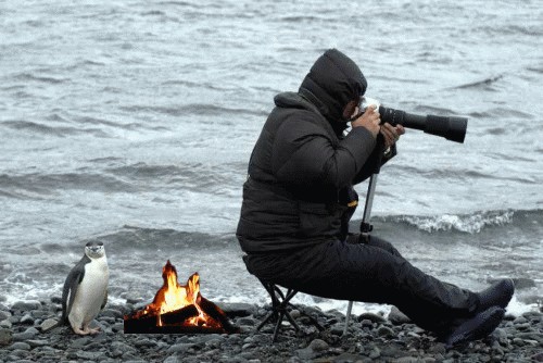Внимательный фотограф