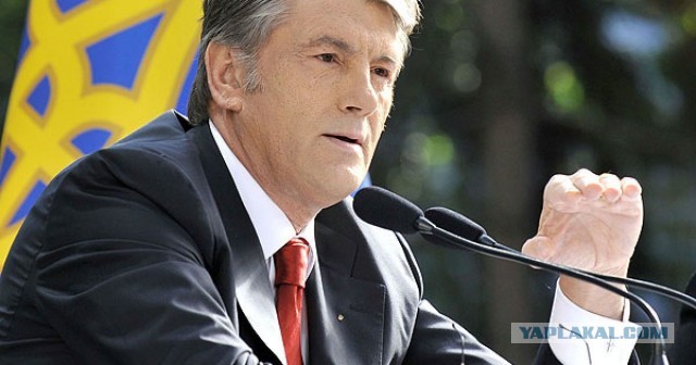 Алексей не «Новичок»