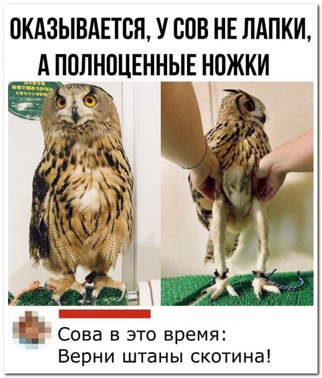 Забавные комментарии из социальных сетей (14.12.20)
