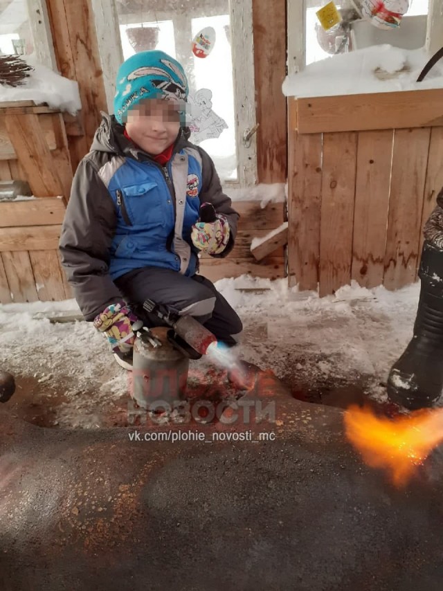 Новогодний кабанчик