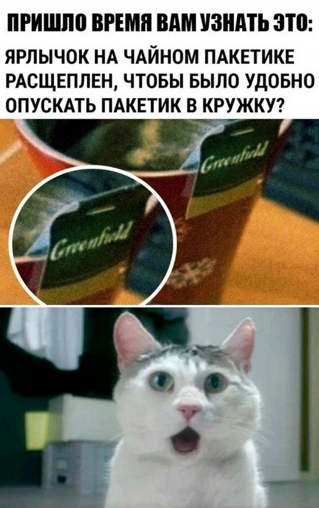 Картинки и мемы для настроения 005