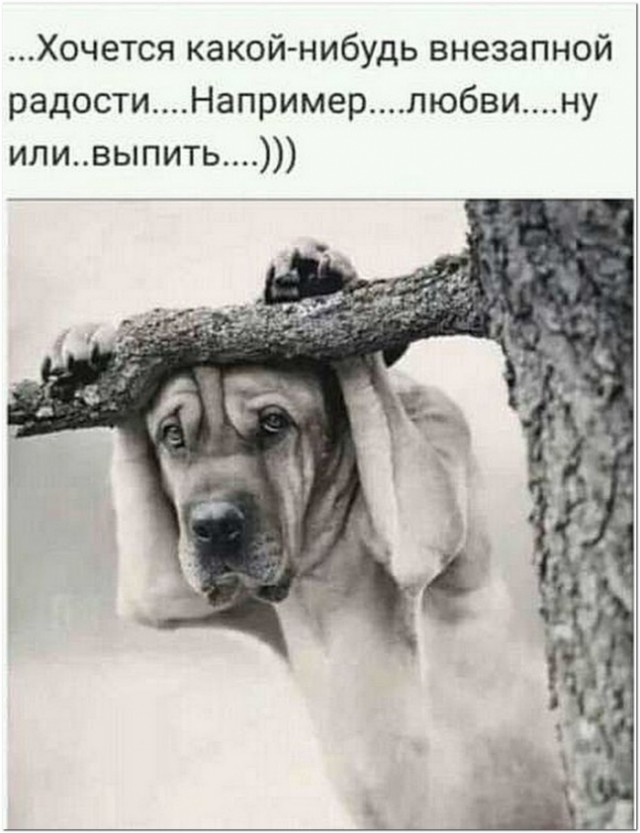 Картинки и мемы для настроения 024