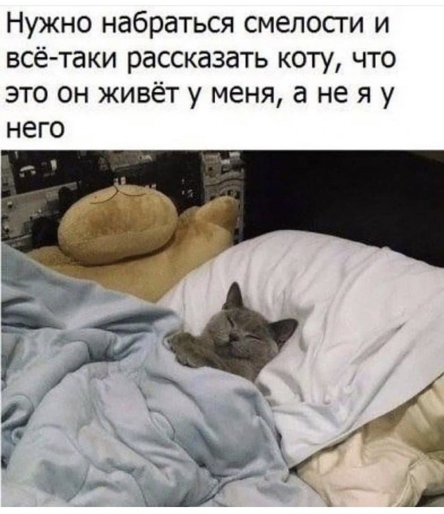 Картинки на вчера