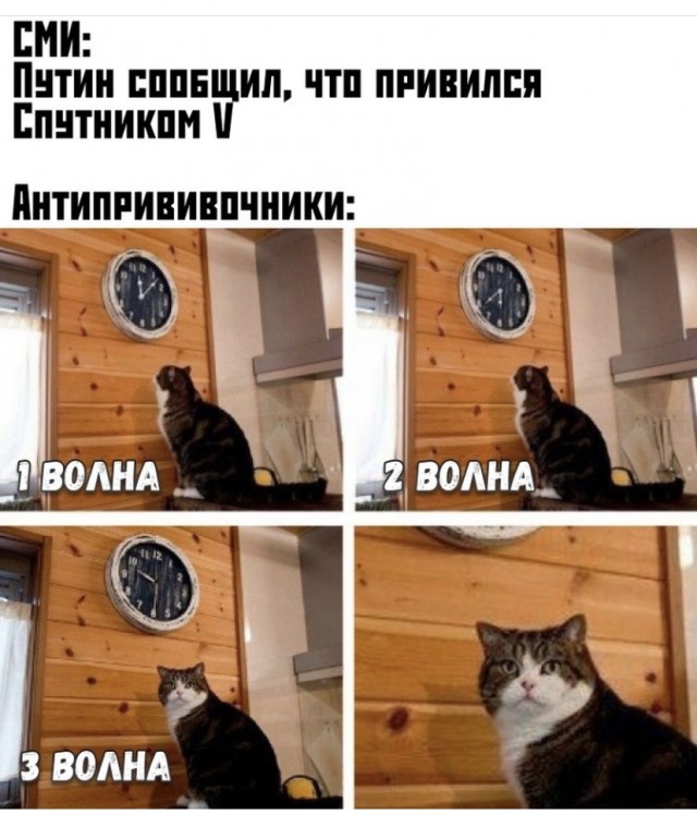 Весёлый полтишок 1.07