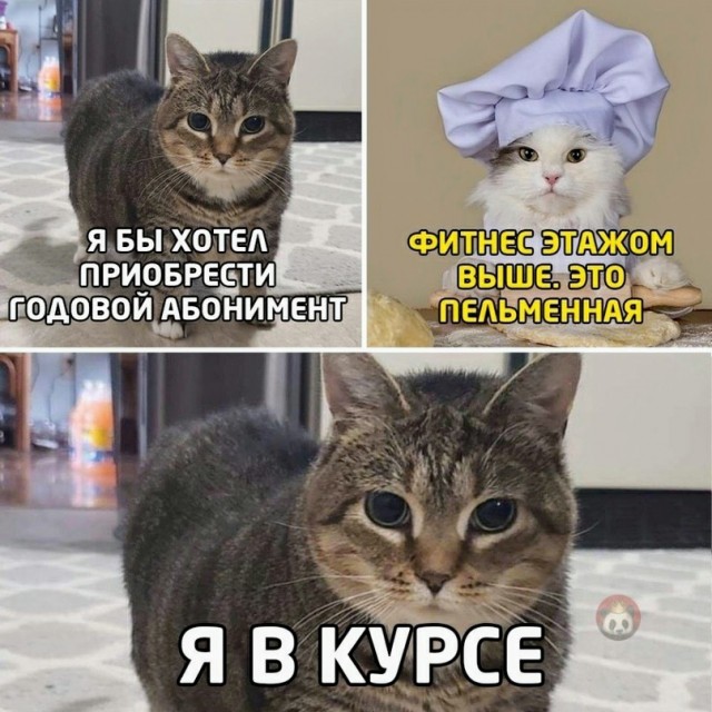 Картинки и мемы 08.10.2021