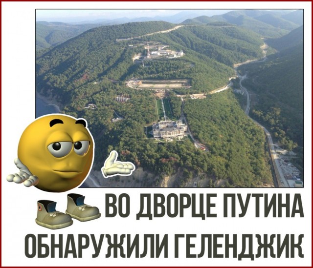 Сочи гудит, как разбуженный улей